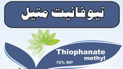 Thiophanate methyl 70% WP