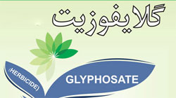 Glyphosate 41% SL