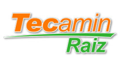 Tecamin Raiz