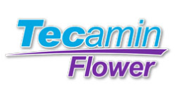 Tecamin Flower